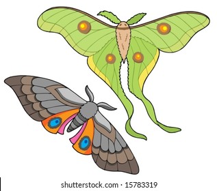 Night butterfly collection - vector illustration.