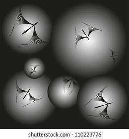 night butterfly moth background