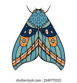 Night butterfly, moth. Hand drawn vector illustration