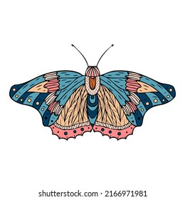Nachtschmetterling, Moth. Handgezeichnete Vektorgrafik. 