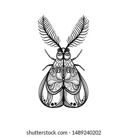 Night butterfly or moth. Sacred symbol and occult talisman. Design for tattoo. Decorative insect. Vector illustration. Black and white image, coloring.