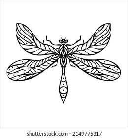 Night butterfly, moths. Hand drawn vector illustration. 