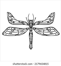 Night butterfly, moths. Hand drawn vector illustration. 