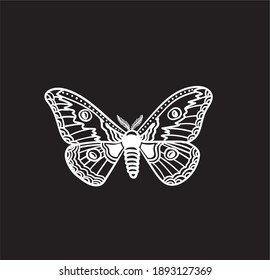 Night butterfly Saturnia Pyri in white lines on a black background