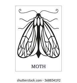 Night butterfly vector logo design template on a white isolated background. Line art. insect icon.