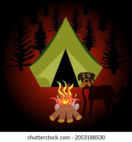Night camping concept, campfire and dog