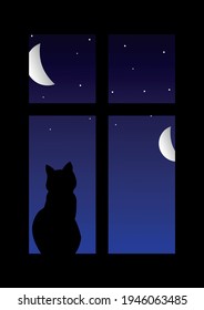 Night cat on the window