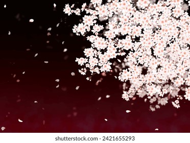 night cherry blossoms background illustration cherry blossom snowstorm