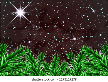A night Christmas sky, a bright star, branches of a New Year tree.