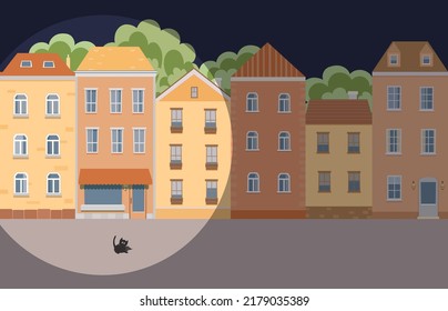 Night City, Old Street, Spotlight, Bright Light, Black Cat. Сity Landscape At Night Flat Vector Illustration.