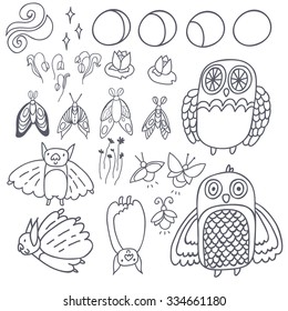 Night creatures outline vector set with adorable owls, bats, fireflies and moths. Moon phases. Hand drawn characters.