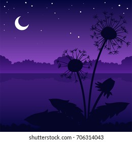 Night dandelion - landscape background. Nature wallpaper