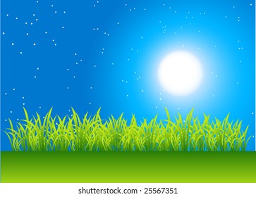 Night field