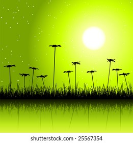 Night field and flowers