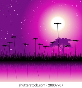 Night field and flowers