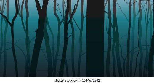 Night fog forest nature background