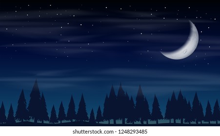 Night in the forest