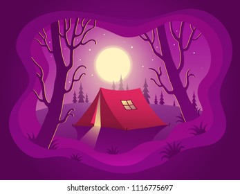 Night forest camping