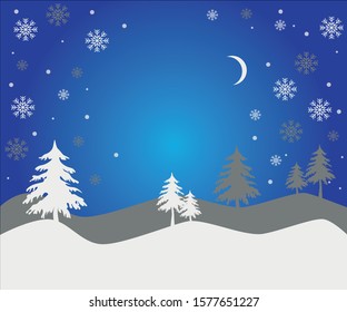 
night forest with christmas trees