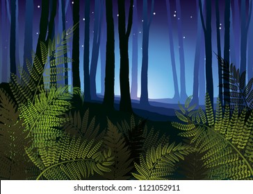 Night forest. Foggy forest with forest fern vector illustration. Tree trunks in blue mist. New Zealand background.