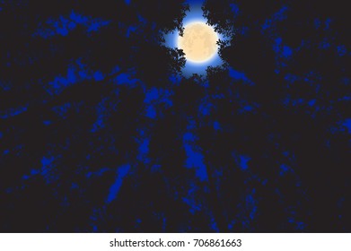 night forest, full moon,