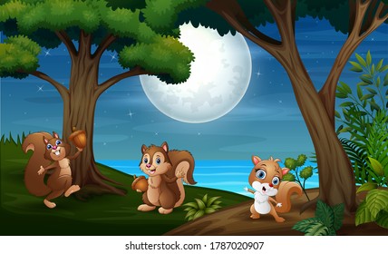 Night forest with three squirrel