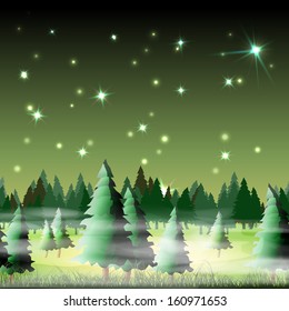 Night forest, vector illustration, eps10, 5 layers, easy editable