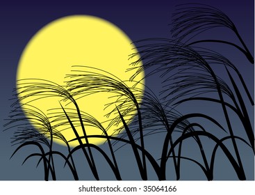 A night with a full moon vector Illustration
