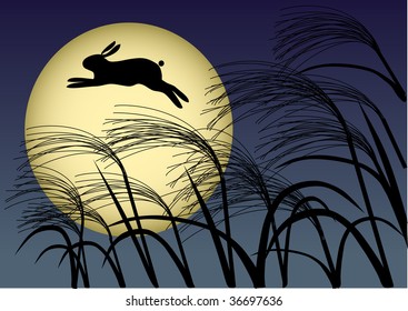 A night with a full moon&rabbit  Illustration