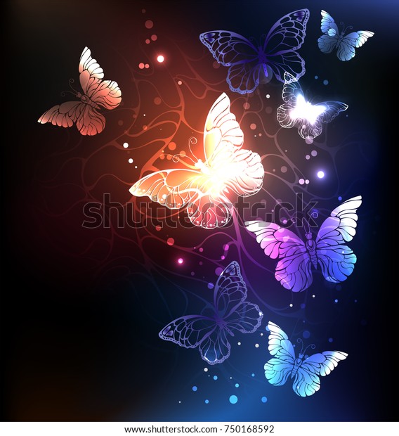 Night Glowing Butterflies On Dark Abstract のベクター画像素材 ロイヤリティフリー