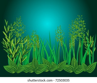 Night grass