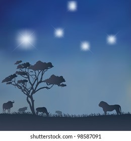 night hunting