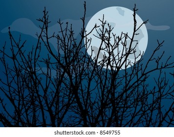 night illustration