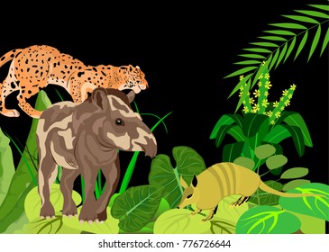 Night jungle background, anumals of amazon jungle. Tapir and jaguar in the green folliage. Wildlife and animals theme.