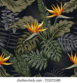 Night jungle tropical seamless pattern plants and flowers. Dark vector wallpaper