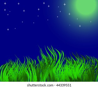 NIGHT landscape