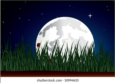 night landscape