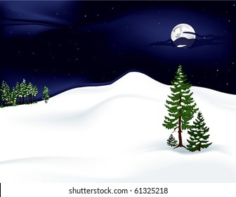night landscape