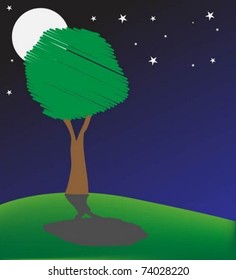 Night landscape