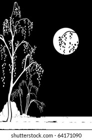 night landscape of birch trees on the background of the moon