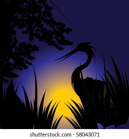 night landscape with bird