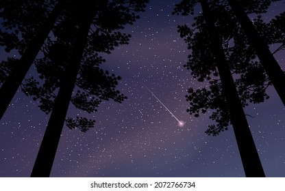 Night landscape. Forest in starry night with shooting star