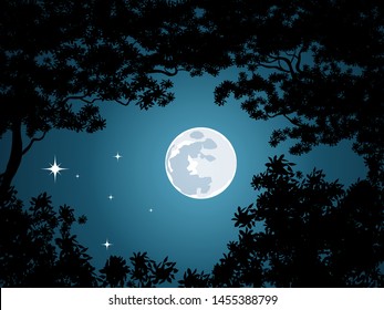 Night Landscape With Full Moon View From Tree Tops