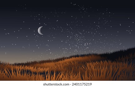 Night landscape in grassland with moon and stars
