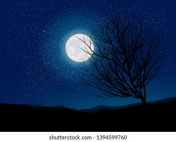 night landscape illustration with sky full of stars and moonlight