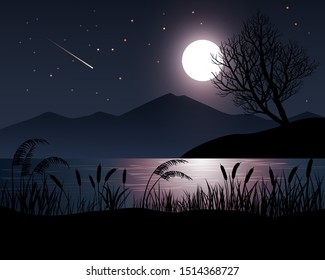 Night Landscape At Lake With  Full Moon And Stars
