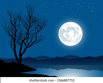 night landscape with lake and the moon