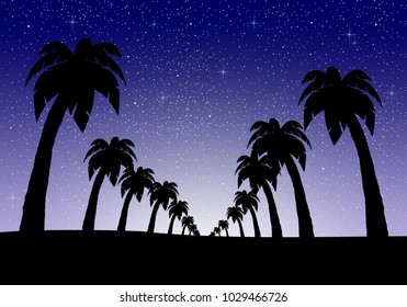 Night landscape with palm trees in a row on a sandy country with deep blue night sky with luminous stars in the starry sky with white glow in the middle of the bottom 