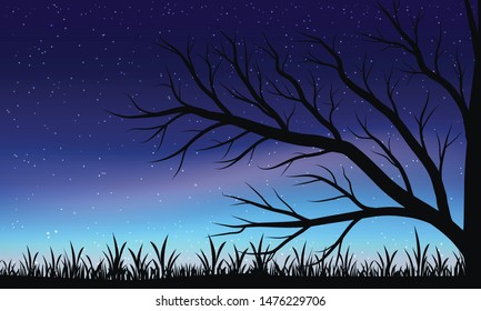 Night landscape with starry sky and aurora, dry tree. Vector illustration. 