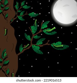 A night landscape with a tree whose leaves are eaten by caterpillars, green caterpillar, the moon and stars in the sky.